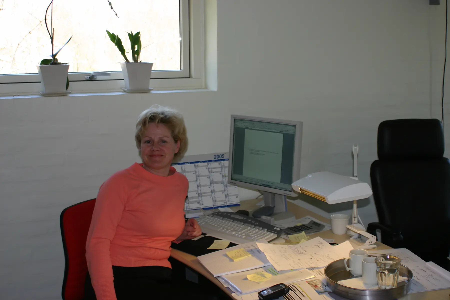 Lisbeth Sejer arbejde Lisbeth Sejer