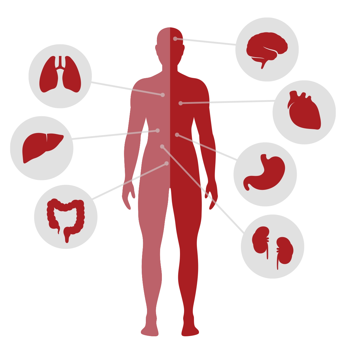 Sundhedstjek af kroppen